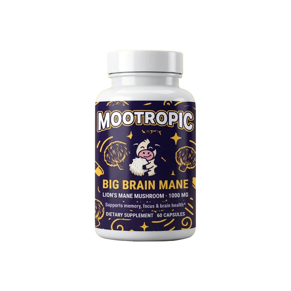 Big Brain Mane — Lion's Mane Mushroom · 1000 mg